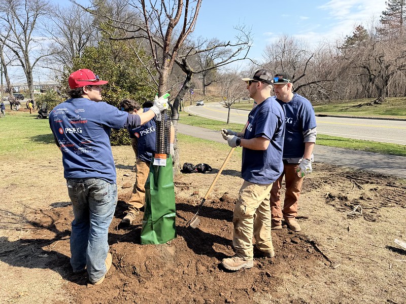 Tree planting - Branch Brook Park, Newark, NJ, March 2026