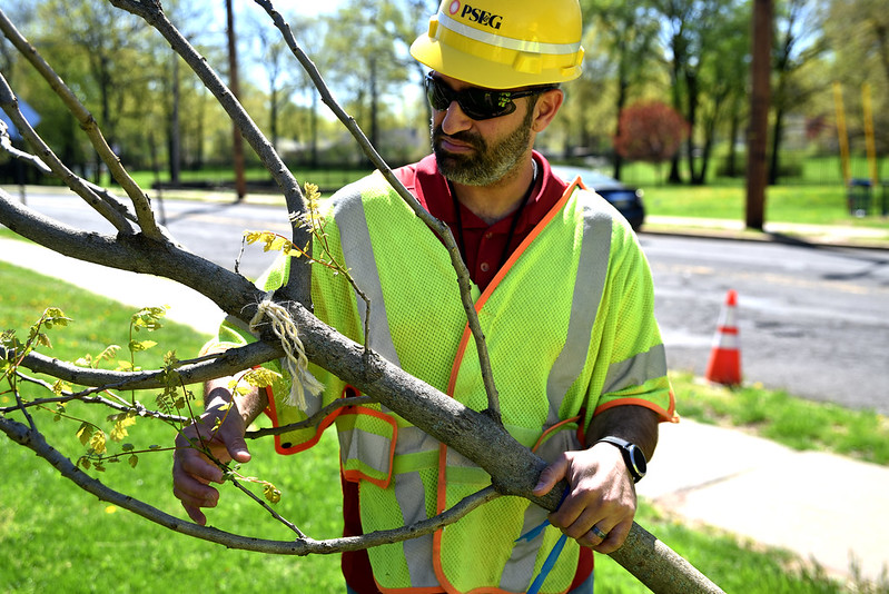 Pictured is one of PSE&G’s team of certified Utility Arborists.