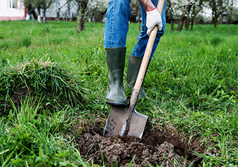 A shovel digging into grass