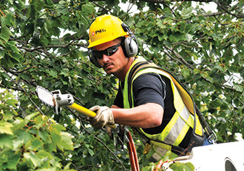  Utility worker trimming tree branches