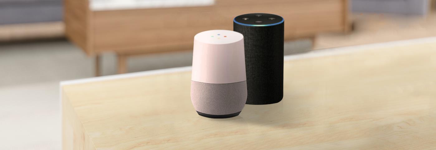 Google Home and Alexa Skill devices are shown.