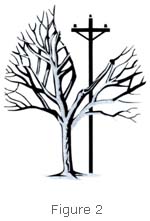  Diagram of tree that has been pruned with directional pruning techniques to avoid contact with power line