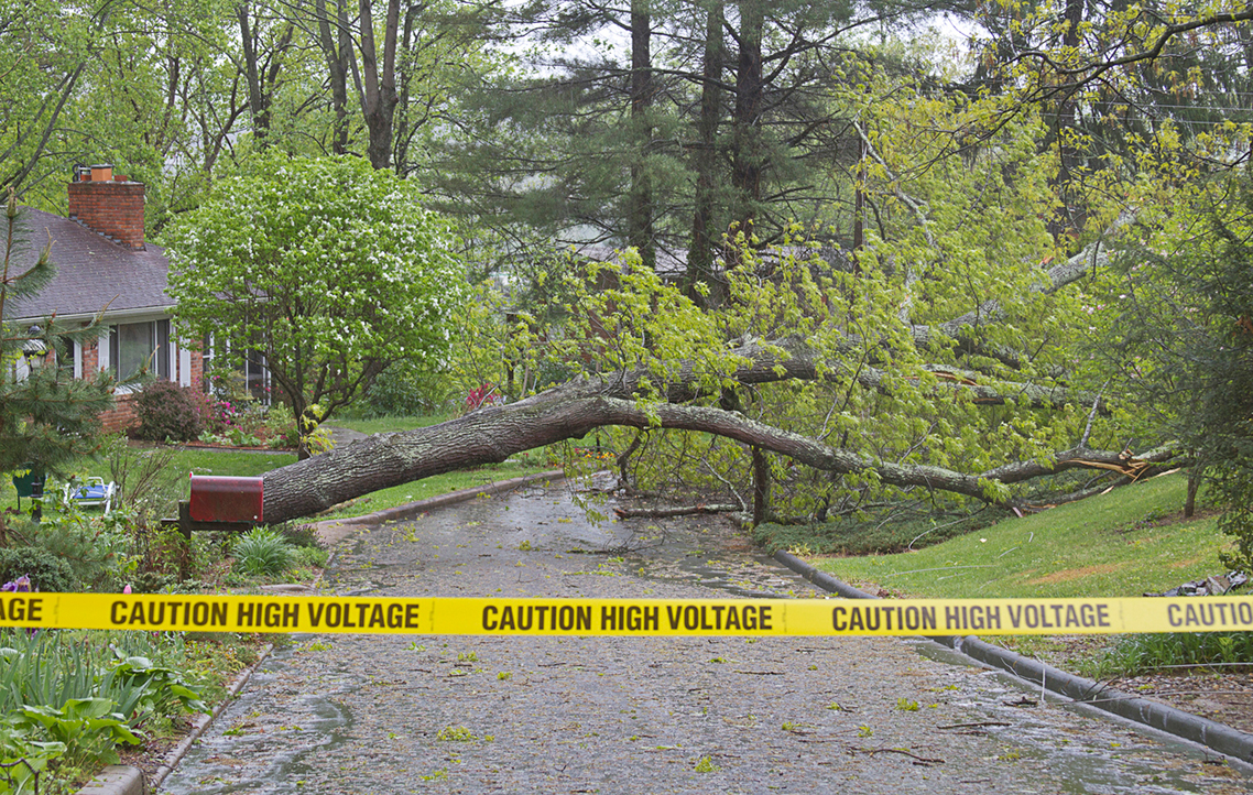 Report an Outage PSE&G