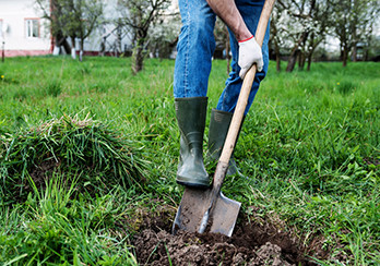 A person starting to dig a hole in a grassy area