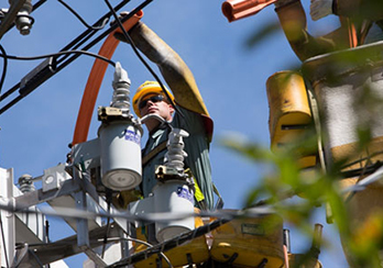  A PSE&G employee in a bucket lift examining utility wires