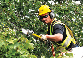PSE&G technician trimming tree with electric saw