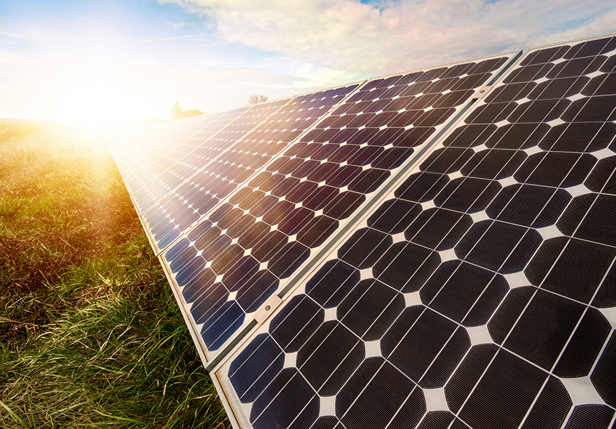 Solar panels installed in a grassy field