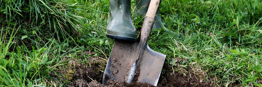 Call before you dig first so that underground utilities can be marked.