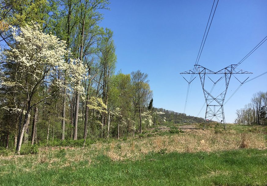 Transmission power lines
