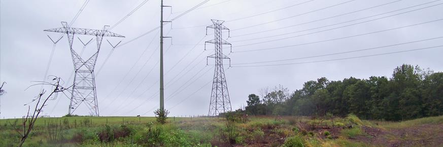 Transmission Line over forest and field.