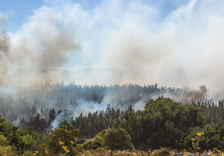 Wildfire is shown.