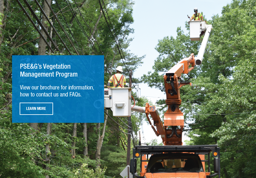 Pictured is a PSE&G tree trimming crew.